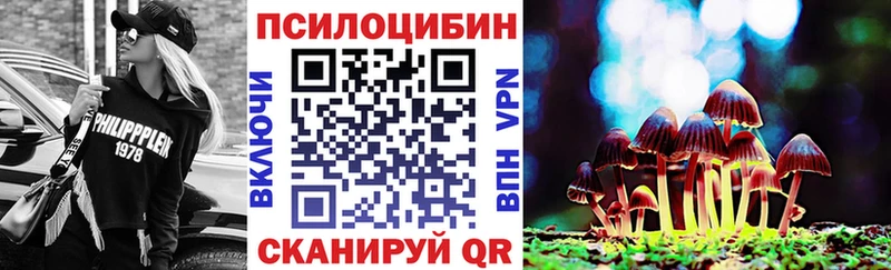 blacksprut маркетплейс  Вологда  Галлюциногенные грибы мухоморы 