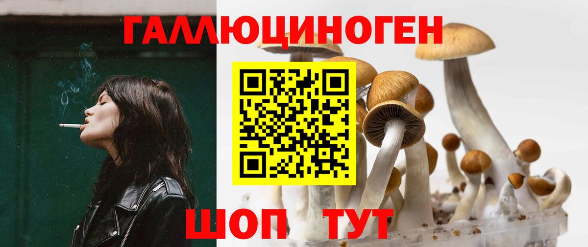 Галлюциногенные грибы ЛСД Вологда